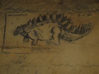 Stegosaurus